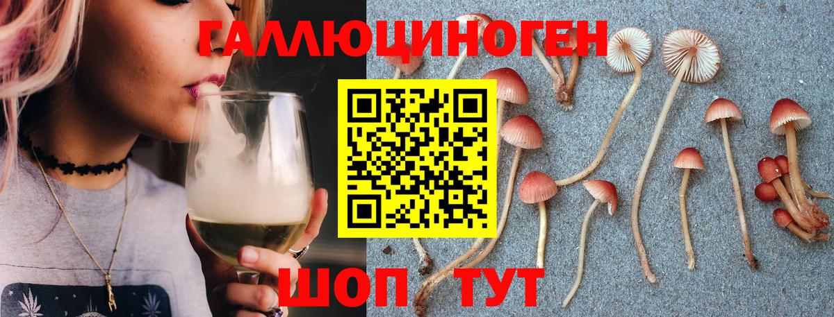 Псилоцибиновые грибы мицелий  Вход с VPN  Краснодар 
